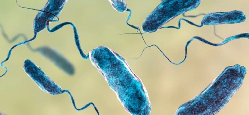 Las muertes en Estados Unidos van en aumento.