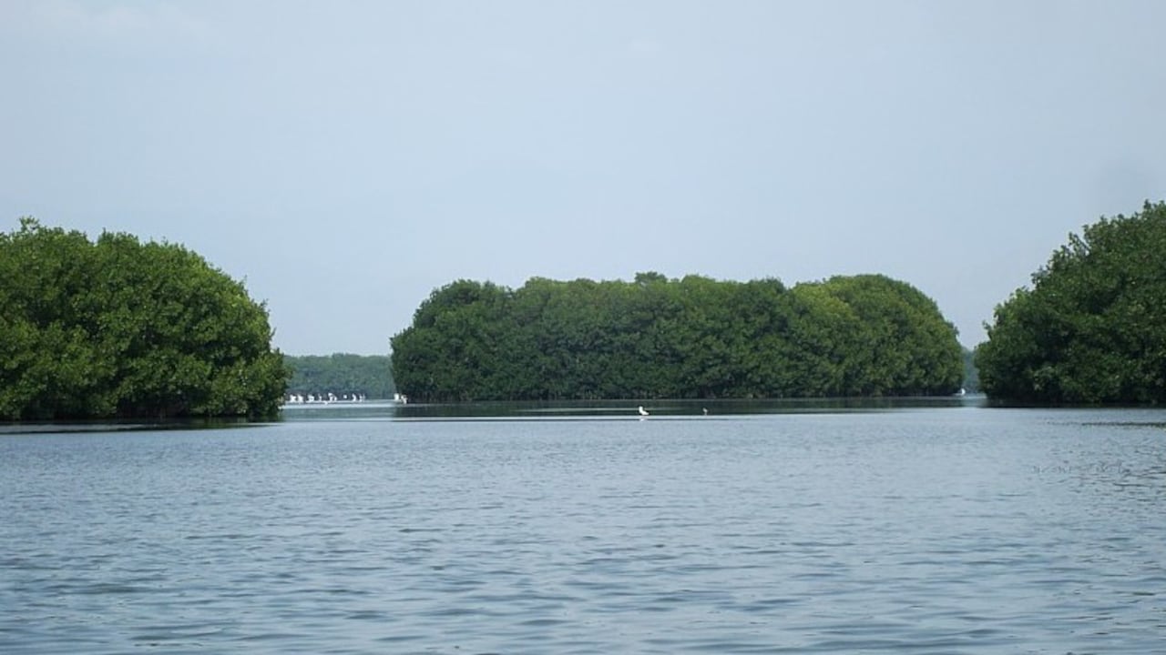 La IA revela cuál es el espejo de agua más grande de Colombia y su impresionante extensión