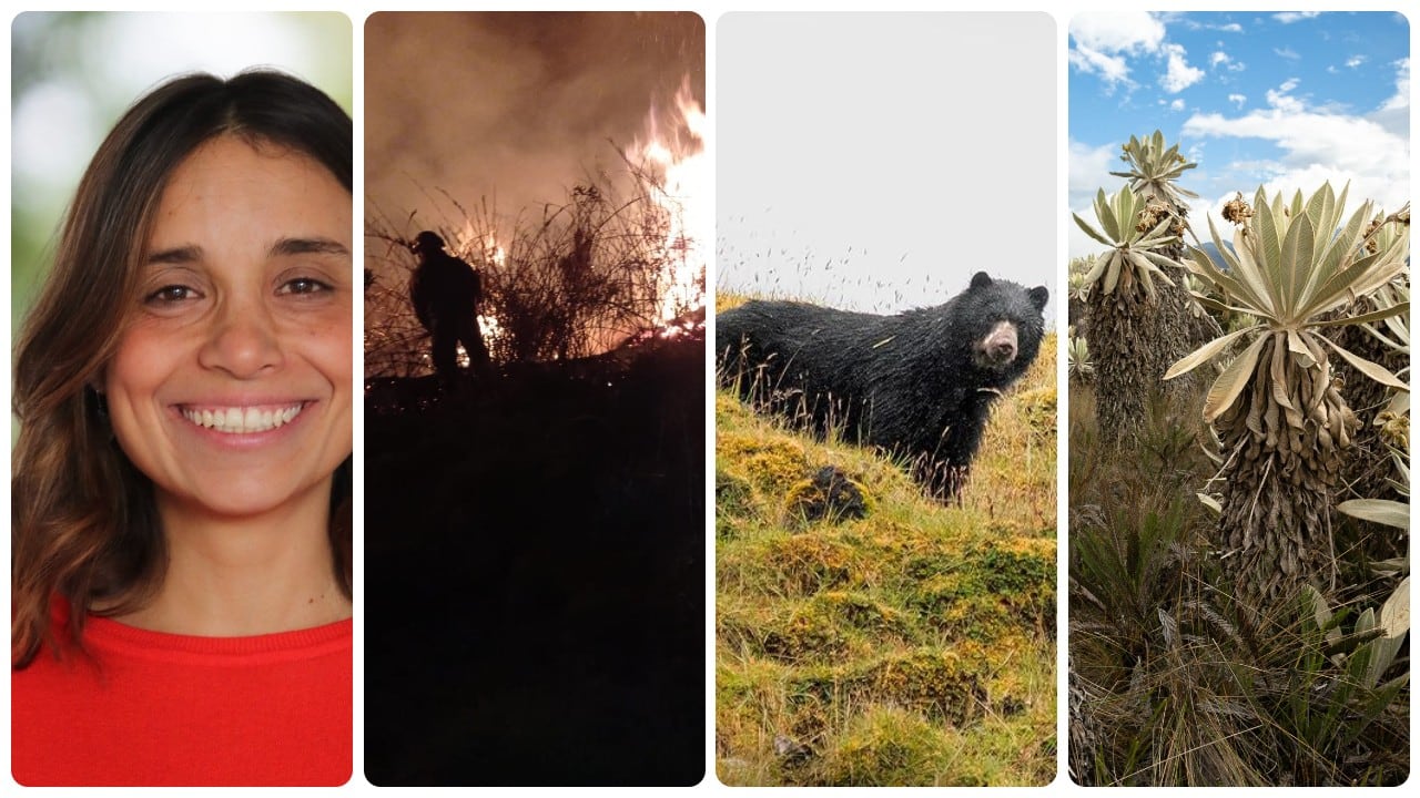 La líder del programa de gestión integral de cuencas y recurso hídrico de The Nature Conservancy Colombia