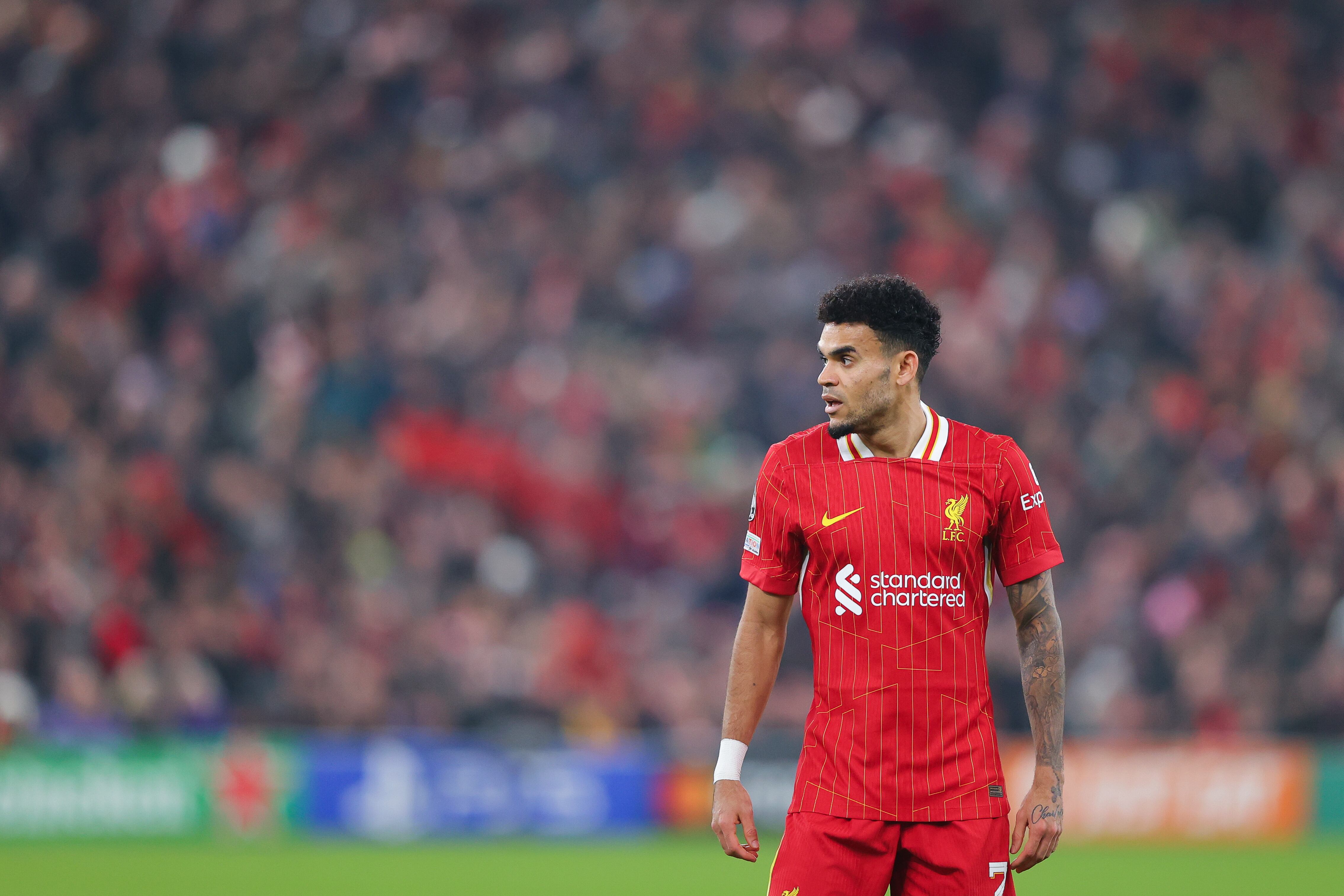 LIVERPOOL, ENGLAND - JANUARY 21: Luis Diaz of Liverpool during the UEFA Champions League 2024/25 League Phase MD7 match between Liverpool FC and LOSC Lille at Anfield on January 21, 2025 in Liverpool, England. (Photo by James Gill - Danehouse/Getty Images)
