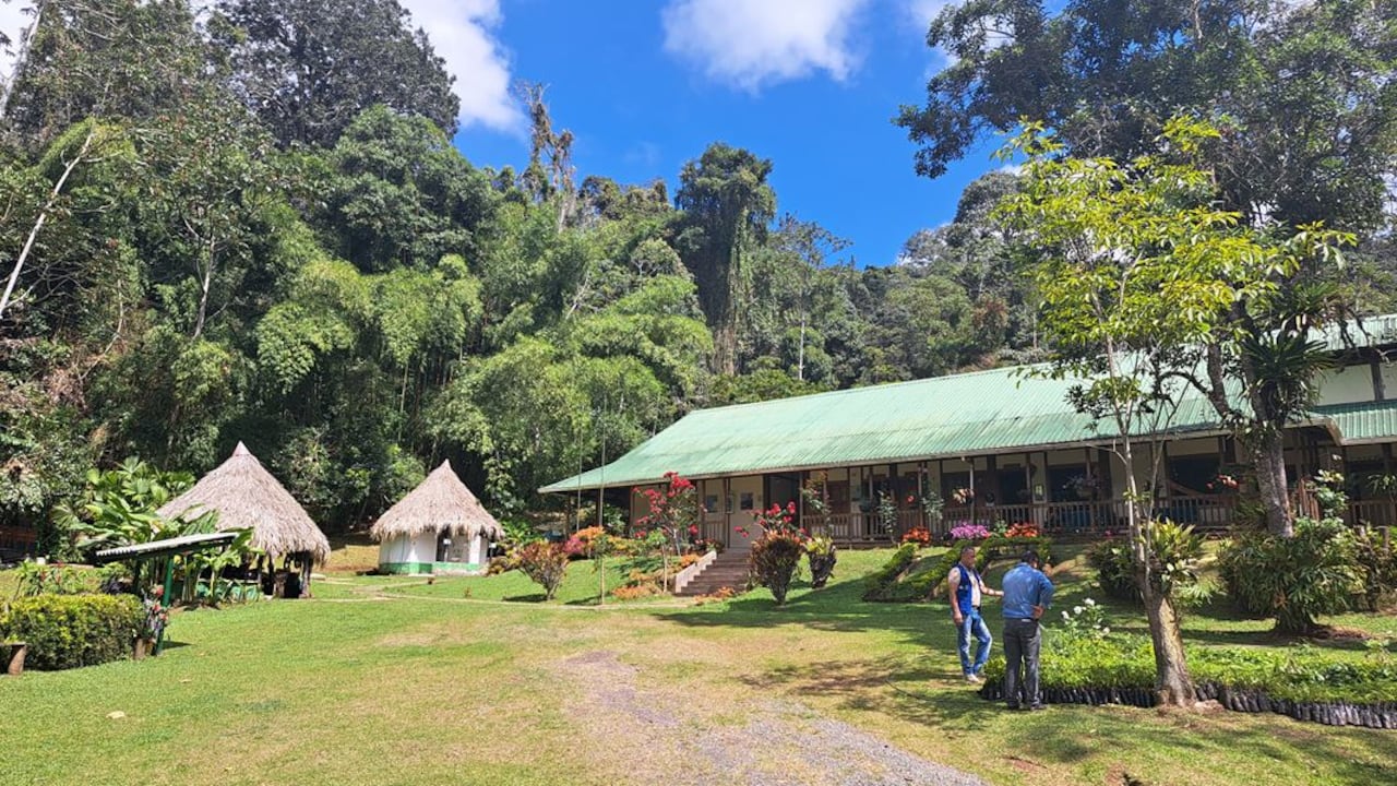 Reserva Nacional Forestal Bosque de Yotoco