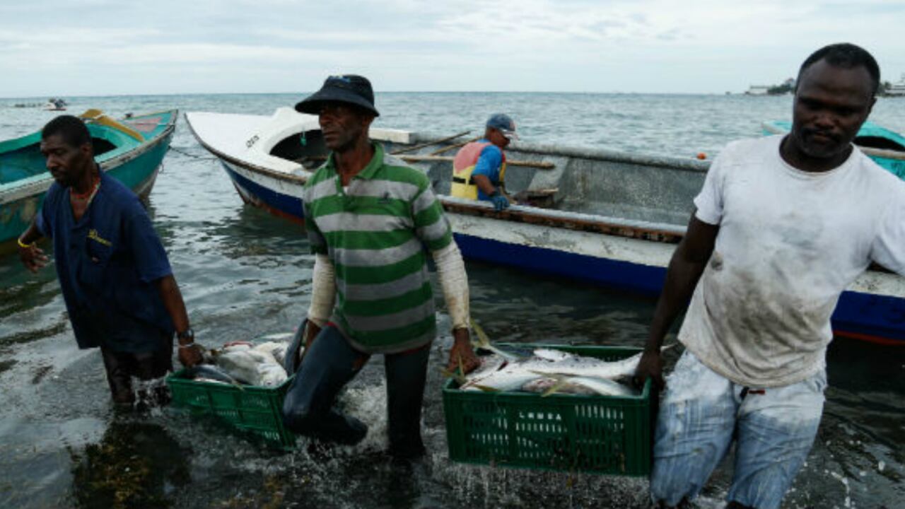 En época de semana santa aumenta en Colombia la venta de pescado un 8%.