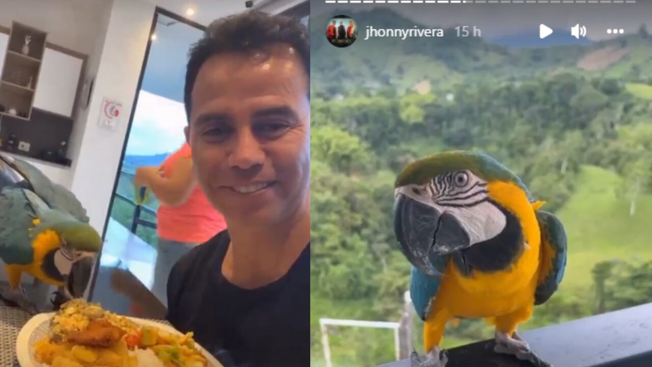 Aunque el ave será trasladada por las autoridades ambientales, Jhonny Rivera aprovechó para compartir un rato junto a la lorita.