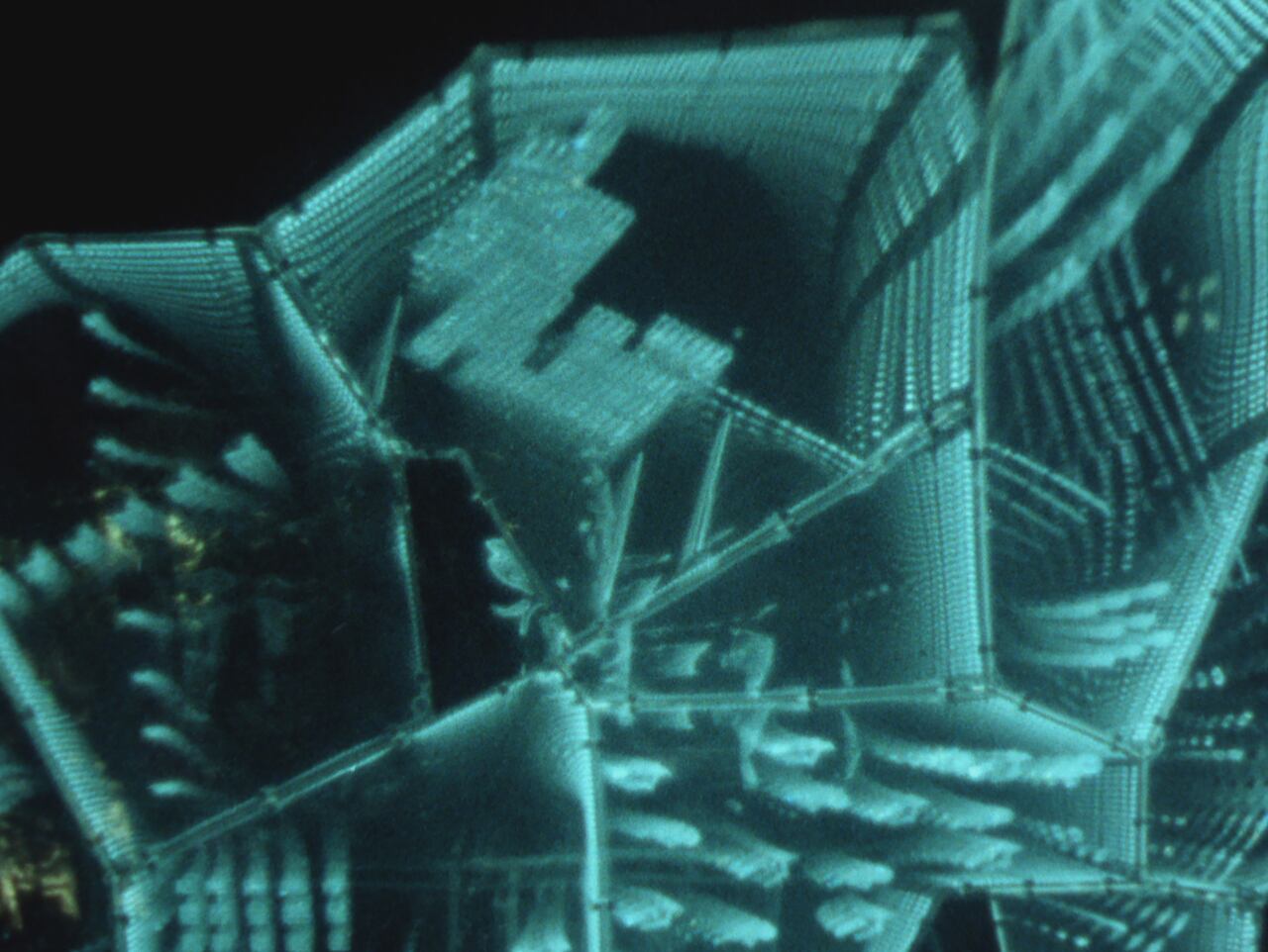 'El mañana es un palacio de agua';
'La jungla te conoce mejor que tú mismo'; 'nuestro canto a la guerra'.