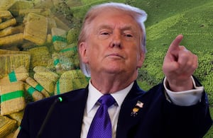 Donald Trump, incautación de droga.