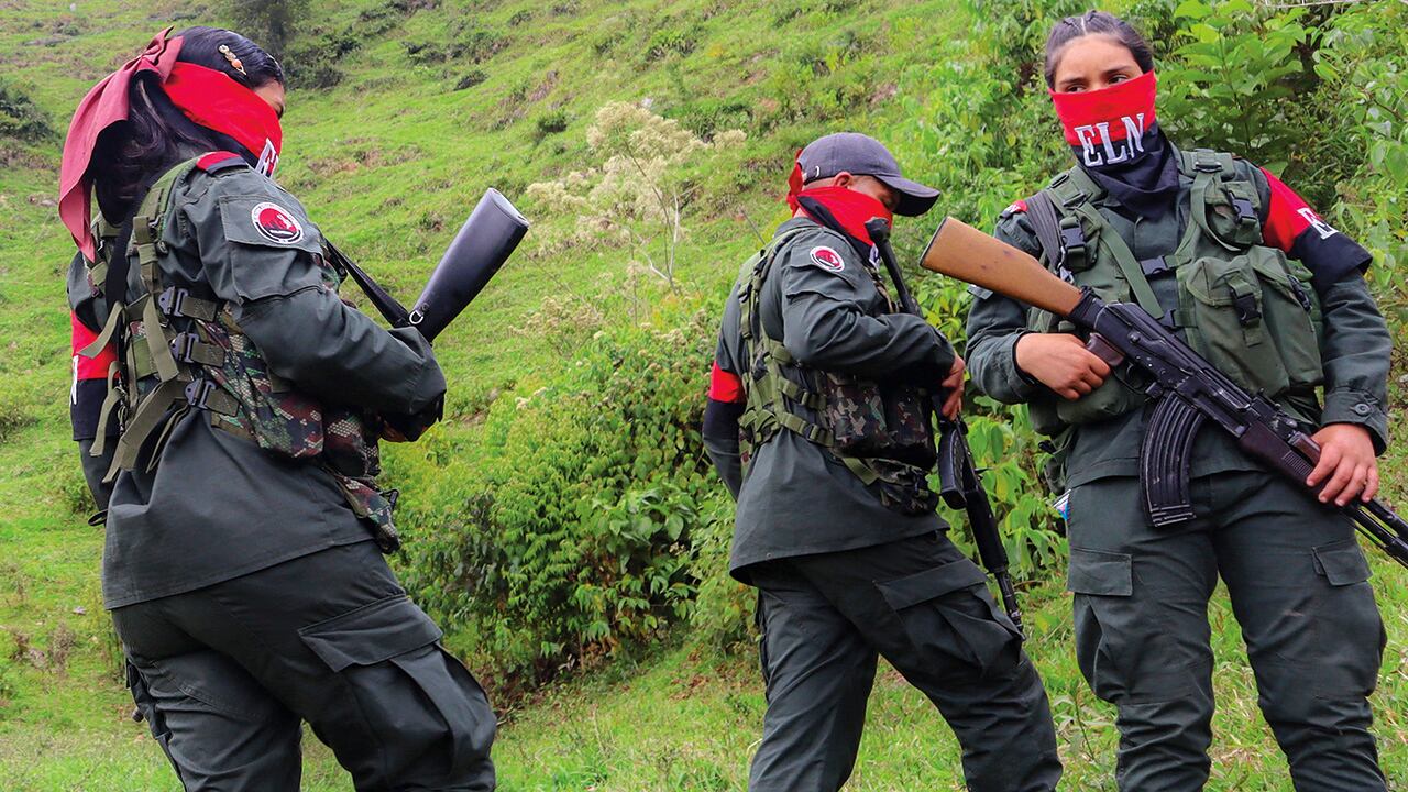 ELN se mantiene en pie de lucha a meses del final del Gobierno Petro.