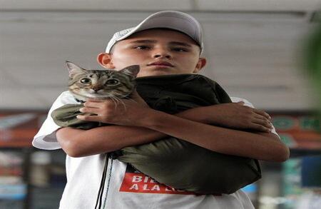 Un sobrino del concejal Marcos Baquero muestra a la prensa al gato "Jimmy", que le sirvió al político de mascota y compañía mientras permaneció en la selva.