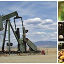 Mientras suben las exportaciones de petróleo, caen las agrícolas
