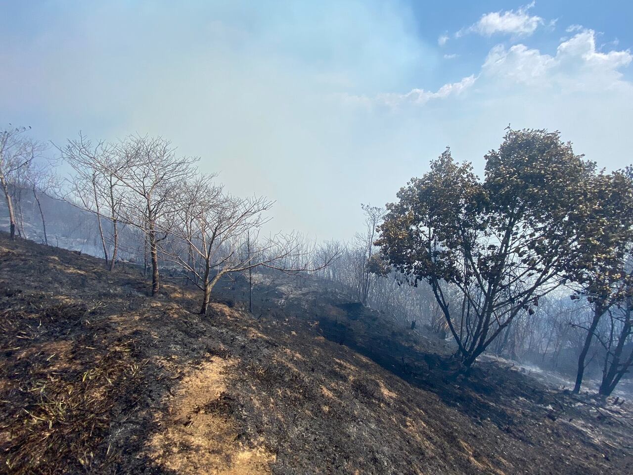 Parte de la temporada seca en el país, se presentó un enorme incendio en el Cañón del Chicamocha.