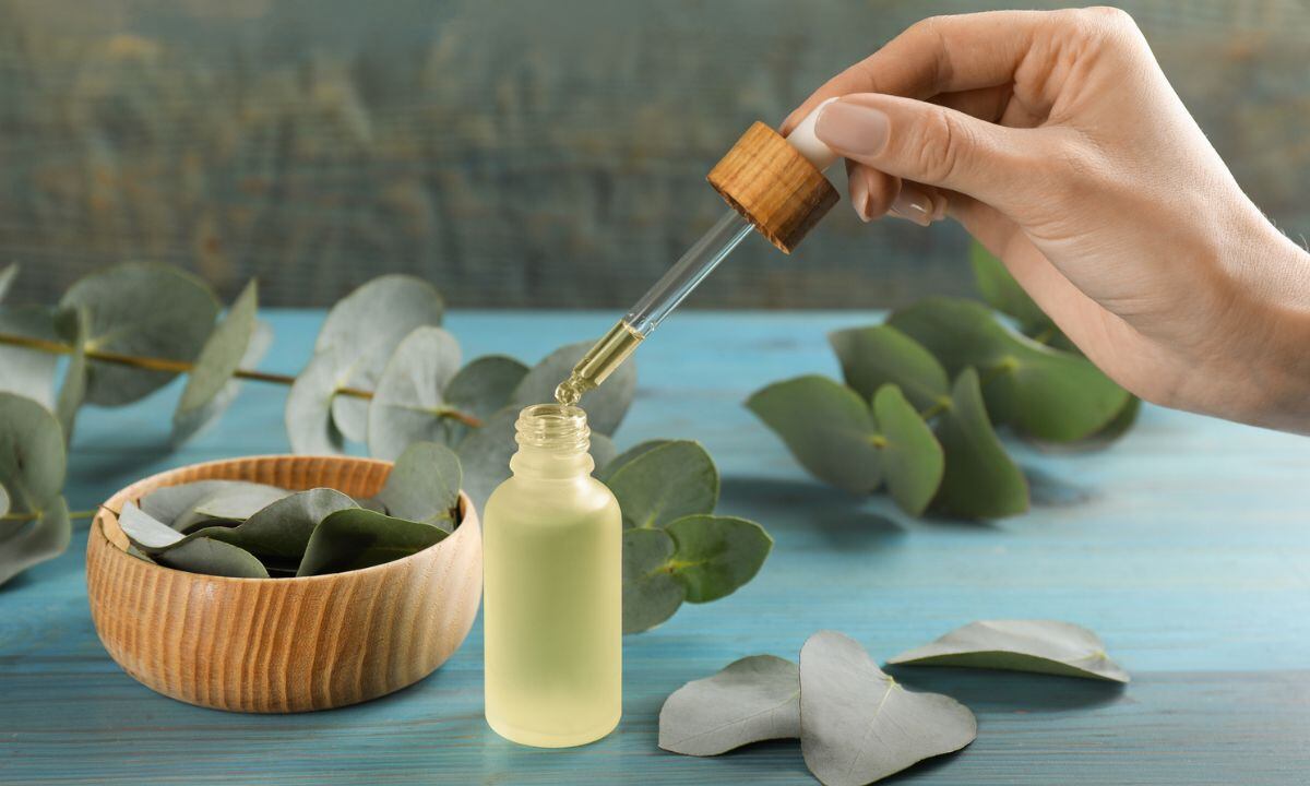 Sahumerio de eucalipto.