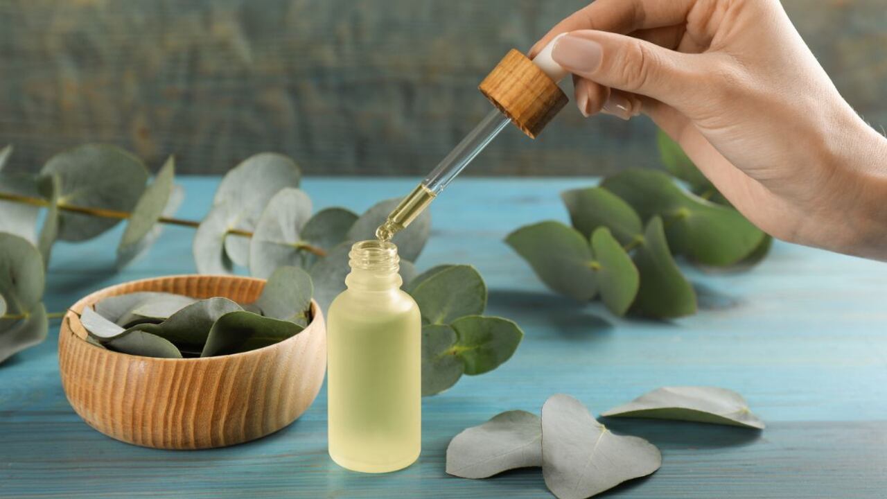 Eucalipto, un aliado en la limpieza del hogar.