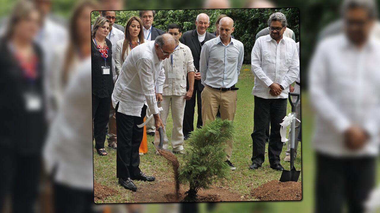 Humberto de la Calle, jefe negociador del Gobierno, echando tierra al “árbol de la paz”.