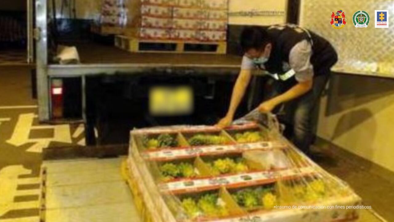 La Fiscalía capturó a alias Gavilán, supuesto cabecilla de una organización criminal que traficaba con droga escondida en frutas.