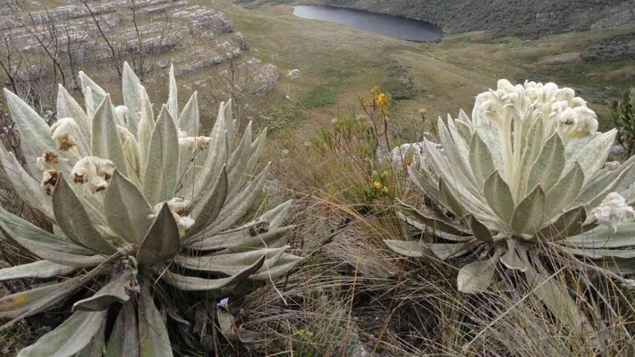 Parque Natural Municipal Ranchería en Paipa