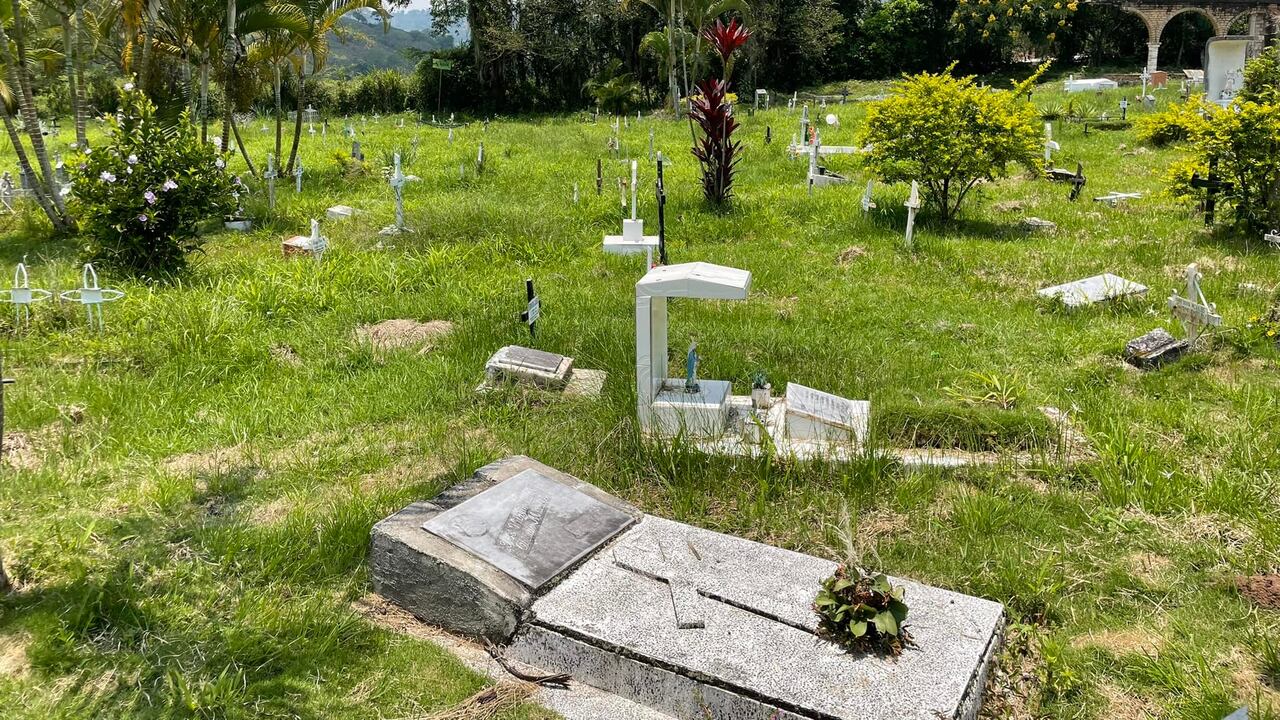 Las medidas cautelares se tomaron por un año.