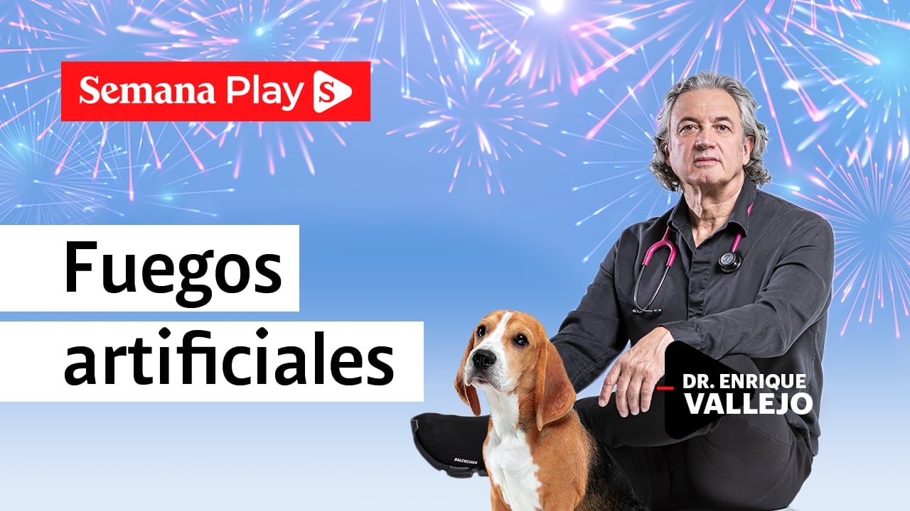 Fuegos artificiales | Enrique Vallejo en Salud Animal