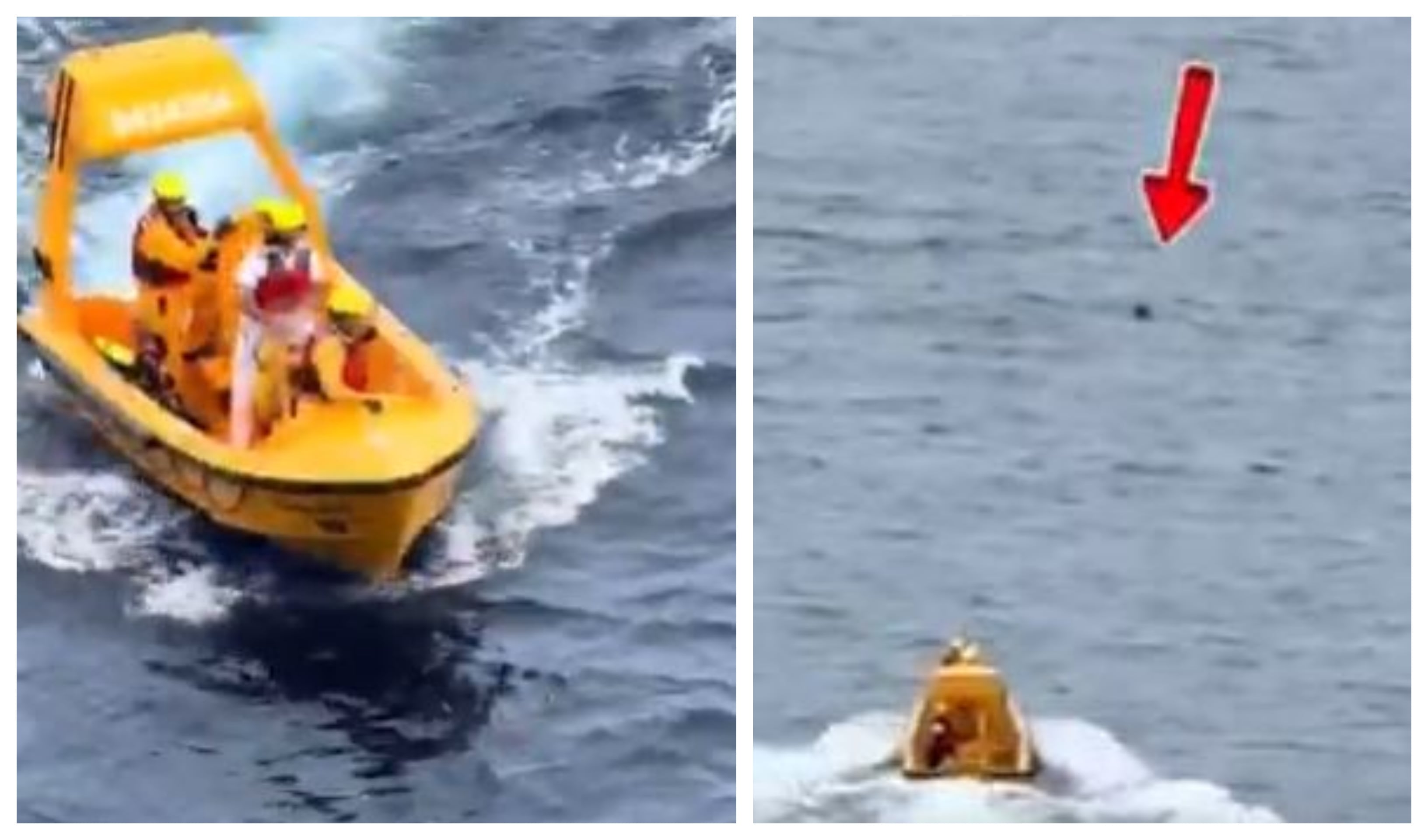 "La tripulación a bordo del Disney Dream rescató rápidamente a dos huéspedes del agua. Felicitamos a nuestros tripulantes por sus habilidades excepcionales y acciones rápidas, que aseguraron el regreso seguro de ambos huéspedes al barco en cuestión de minutos", expresa el comunicado de la empresa.  Rescate de niña crucero