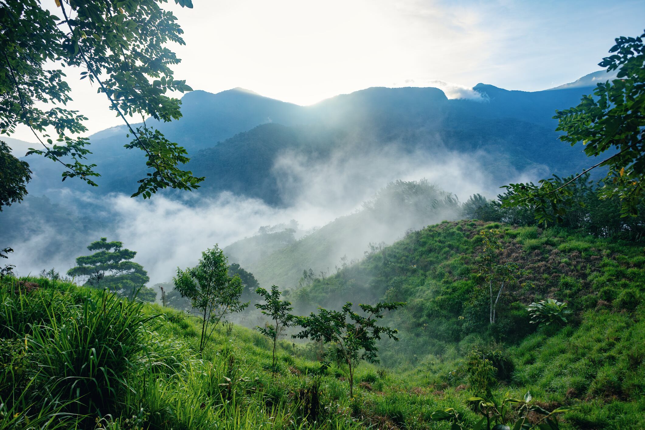 En la Sierra Nevada de Santa Marta hay diversidad de planes para hacer y conectar con la naturaleza.
