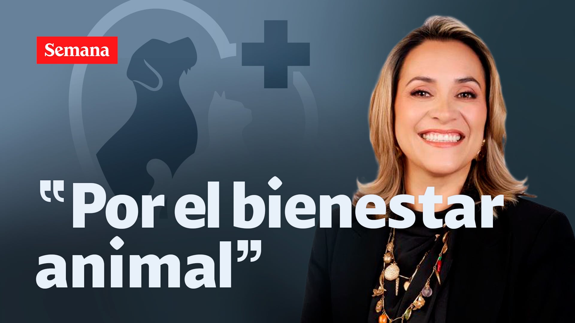 Kahu busca aumentar la responsabilidad de la sociedad con respecto al bienestar animal.