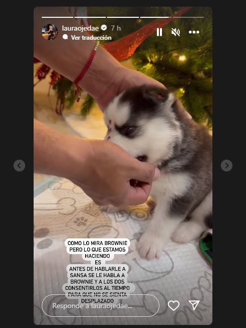 Sansa, la nueva mascota de Laura Ojeda y Nicolás Petro