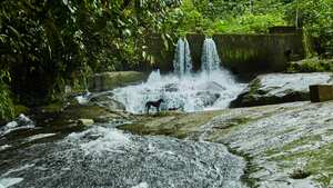 Tutunendo es el lugar turístico por excelencia del municipio.
