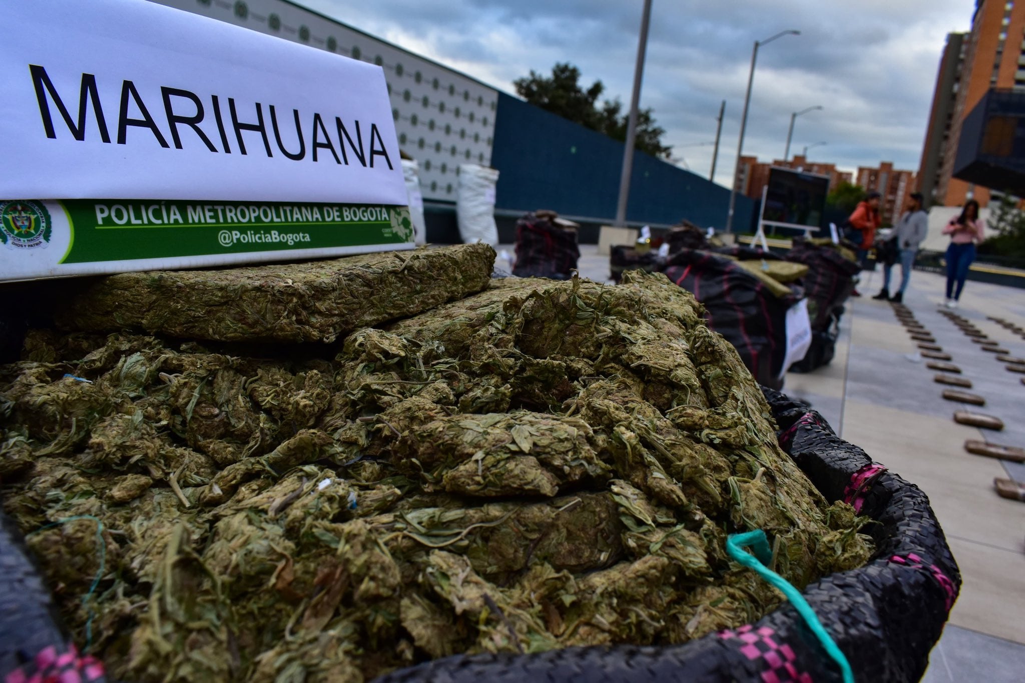 Esta marihuana salió de los invernadores que existen en las zonas rurales de los municipios del norte del Cauca.