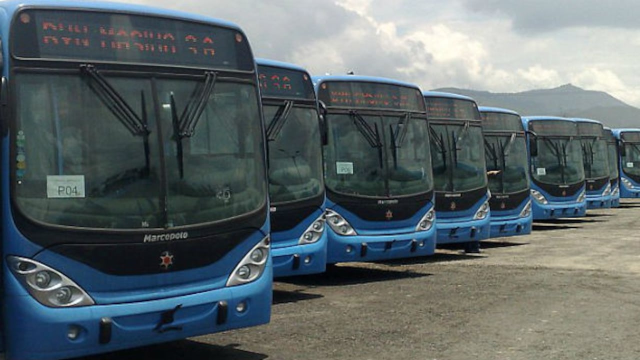 Así son algunos de los buses del transporte masivo MIO.