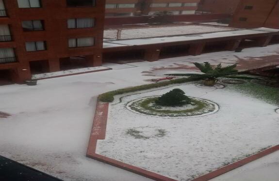 Twitter.com / @zepolaicragela  