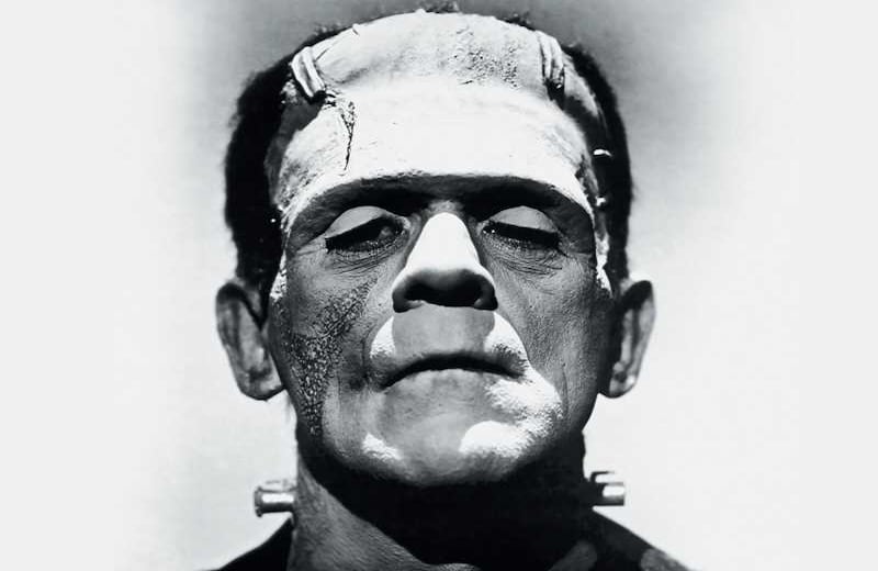  La novela salió publicada en 1818 sin el nombre de la autora. Con el tiempo, ella encontró un lugar en la literatura universal, y su creación se convirtió en un objeto de culto, especialmente en el cine. 