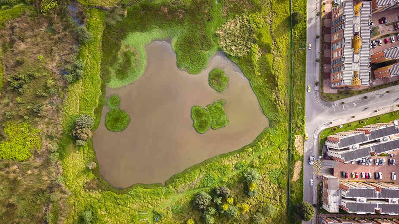 Con 380 kilómetros de largo, el río Bogotá es el principal cause fluvial de la Sabana.