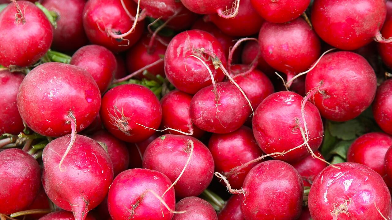 Los rábanos son ricos en vitamina C.
