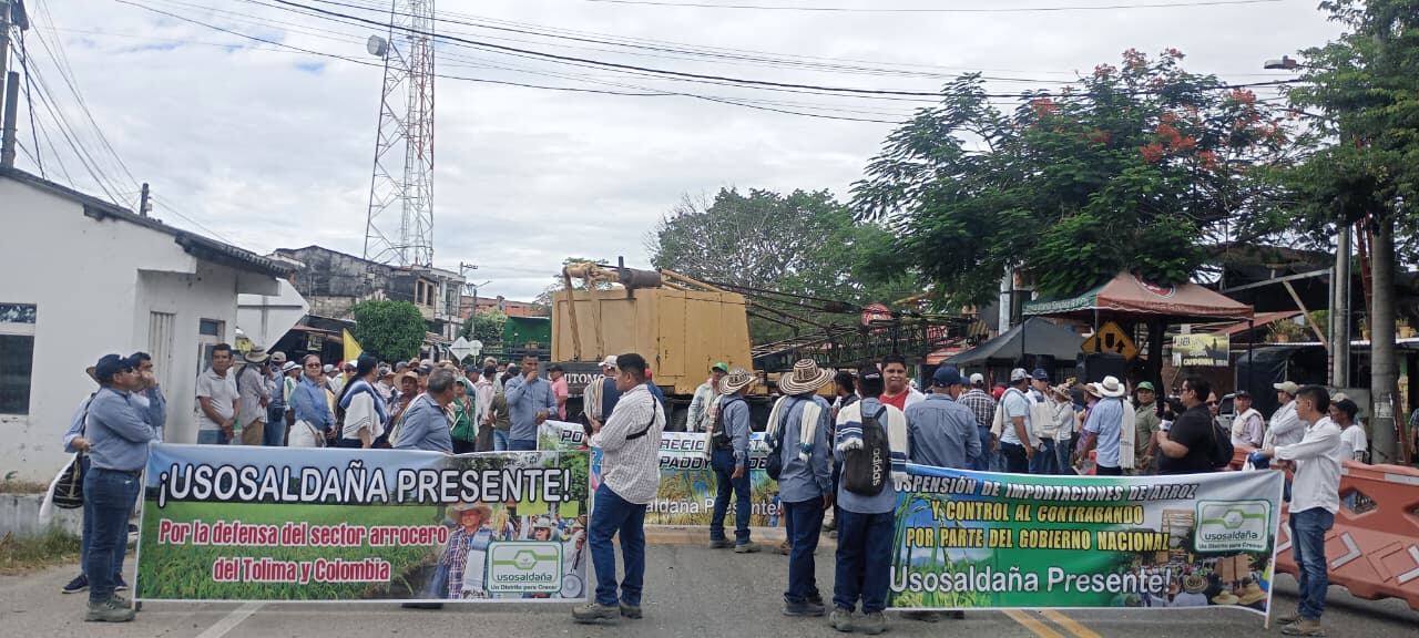 Unos 300 campesinos bloquean el puente Saldaña, en Tolima, en medio del paro de arroceros.