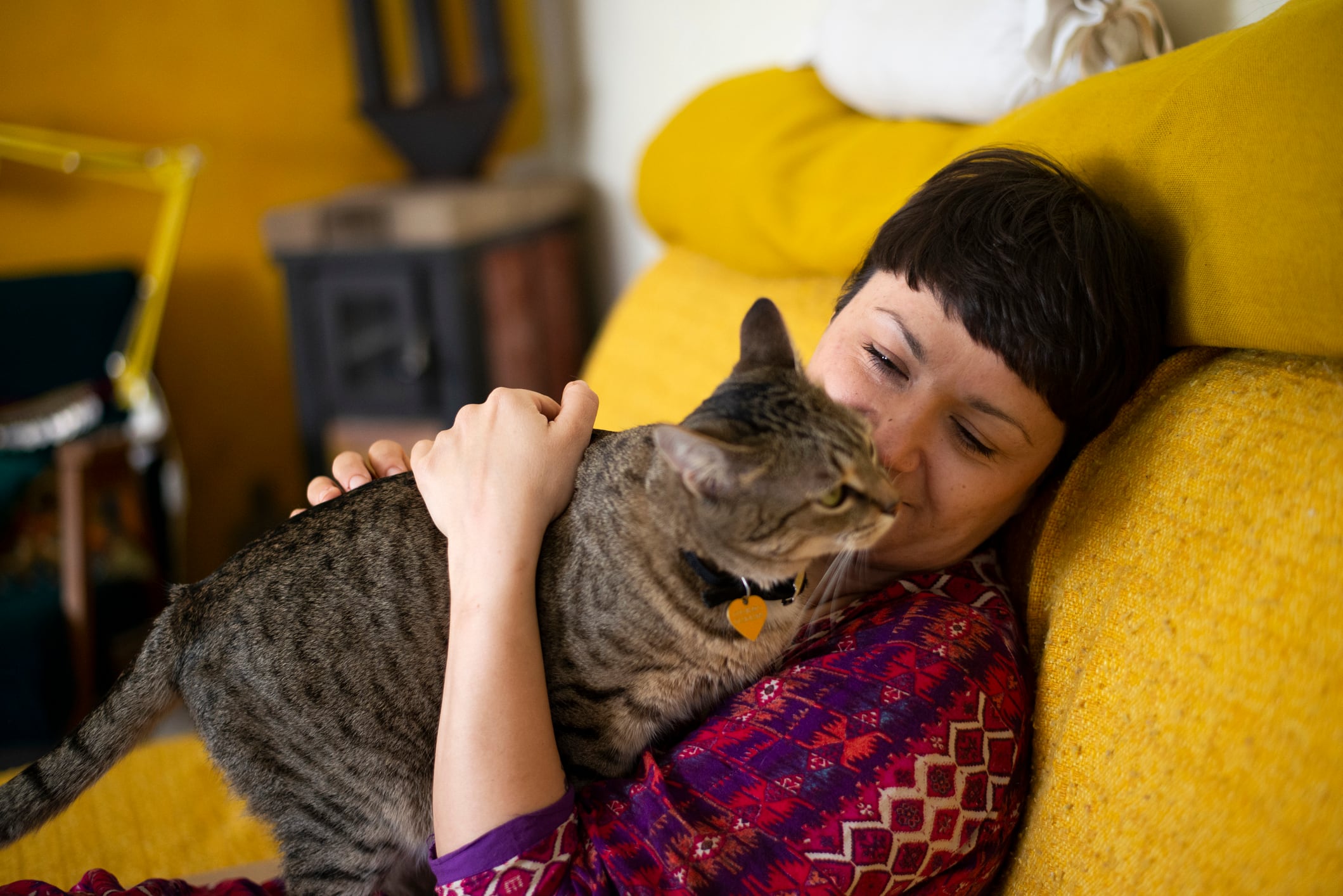 Cerca de un tercio de los gatos tratados logró extender su supervivencia varios meses.