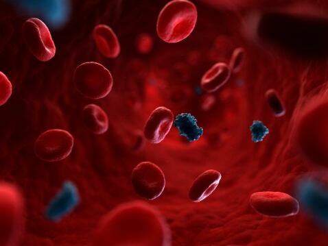 La glucosa en el cuerpo proviene de los alimentos que comemos o es producida por el hígado, y se encuentra en el torrente sanguíneo y llega a los diferentes órganos y cédulas, para convertirse en energía.