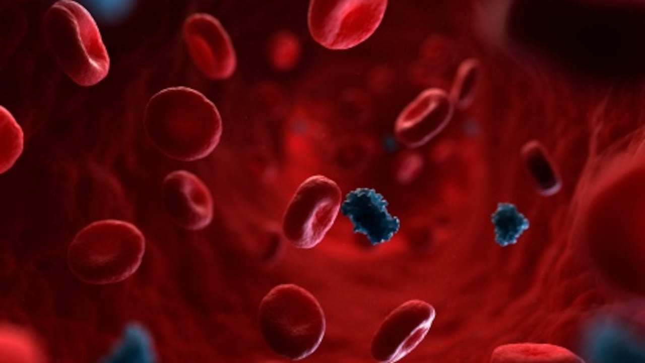 La glucosa en el cuerpo proviene de los alimentos que comemos o es producida por el hígado, y se encuentra en el torrente sanguíneo y llega a los diferentes órganos y cédulas, para convertirse en energía.