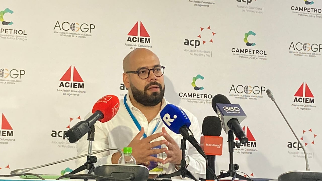 Flover Rodríguez, presidente de la Asociación de Geólogos