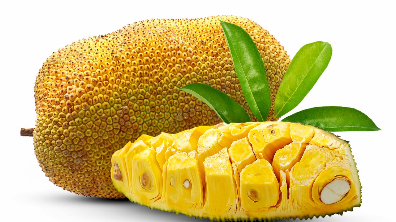 Las yacas son originarias de Asia.