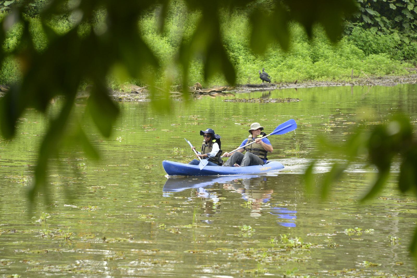 Biodiversidad del Valle del Cauca.