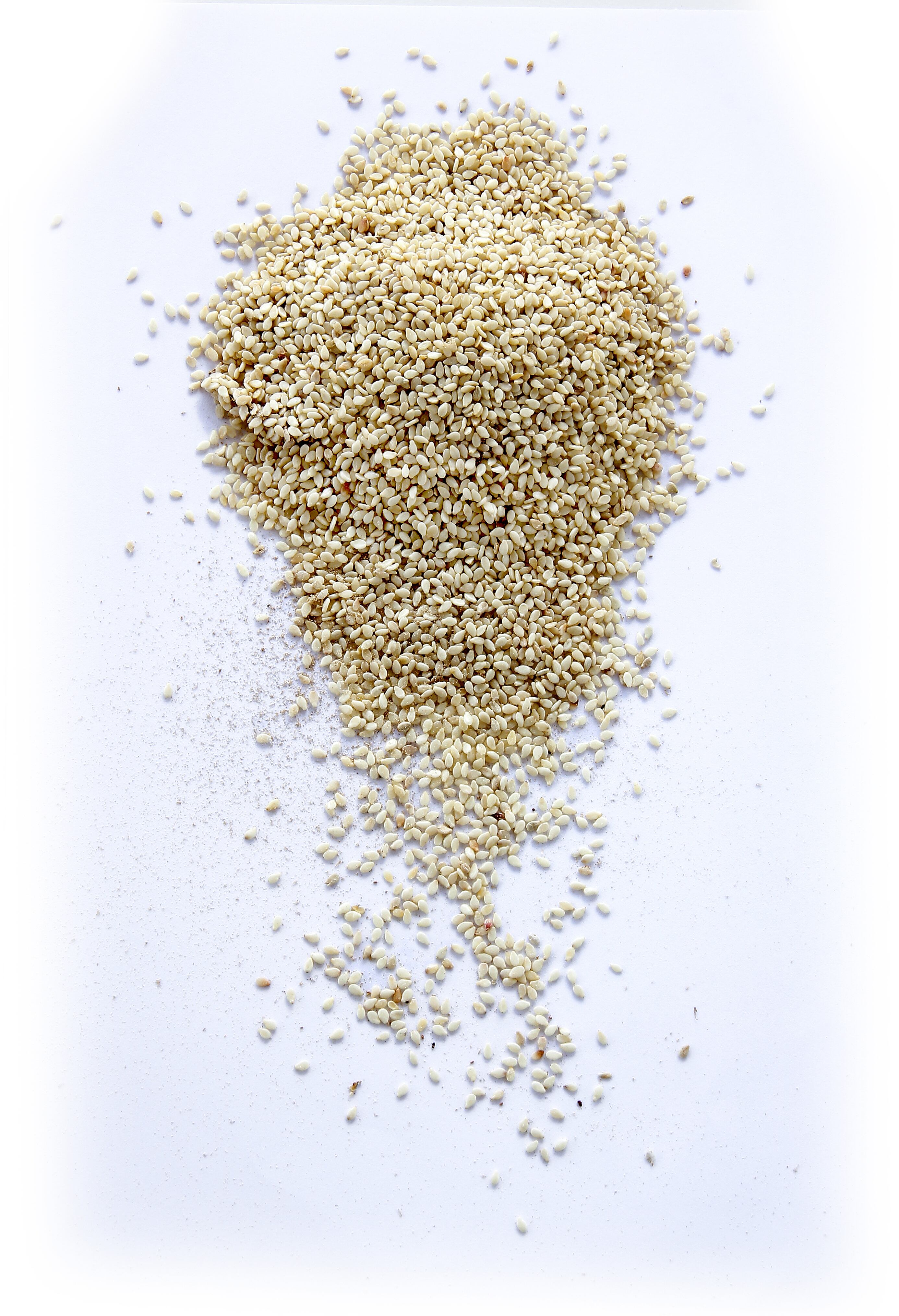 Semillas de sésamo - ajonjolí