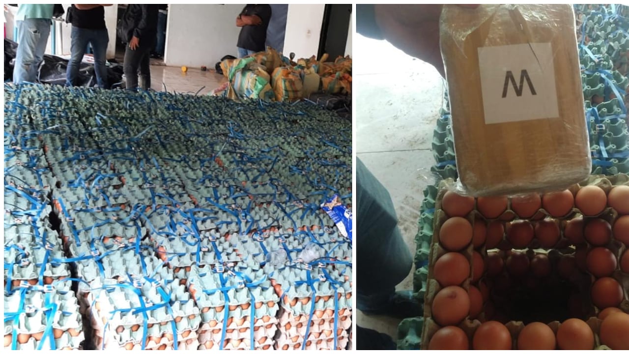 Imagen de la marihuana encontrada en las canecas de huevos.