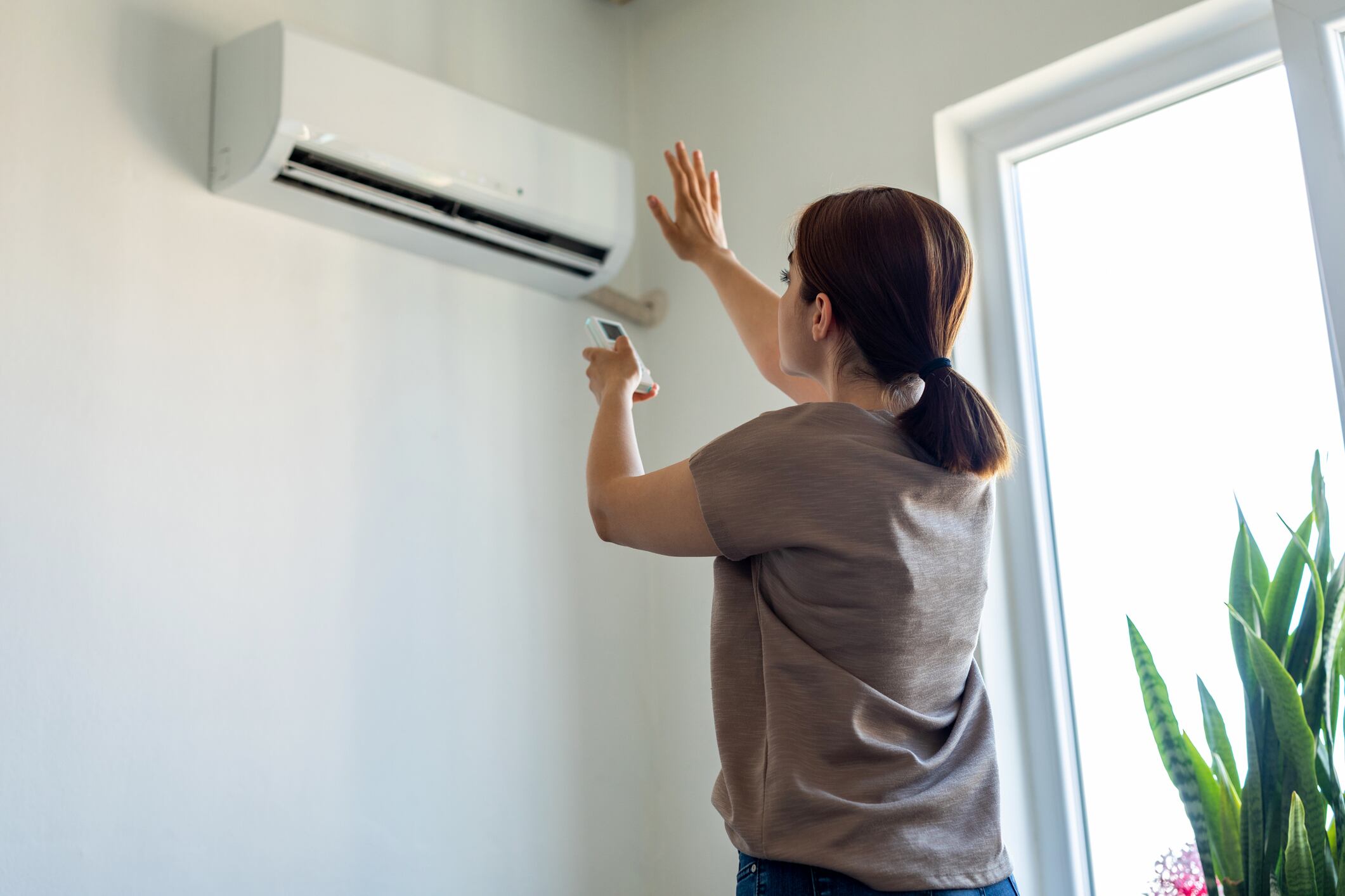 Una función inteligente ajusta la temperatura del electrodoméstico que podría ayudar a reducir la factura mensual.