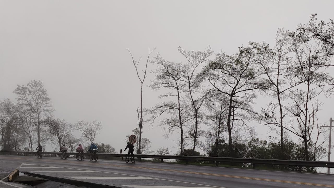 Pese a la cancelación de un evento ciclístico, un grupo de pedalistas decía correr por su cuenta.