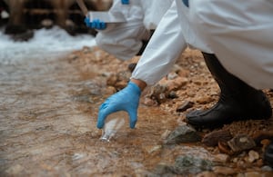 Una investigación reveló que miles de ríos y lagos atraviesan una peligrosa disminución de oxígeno.