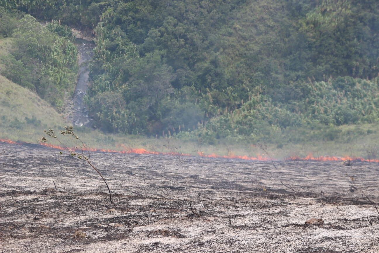 Incendio forestal en cerros de Cali ha dejado más de 330 hectáreas afectadas.