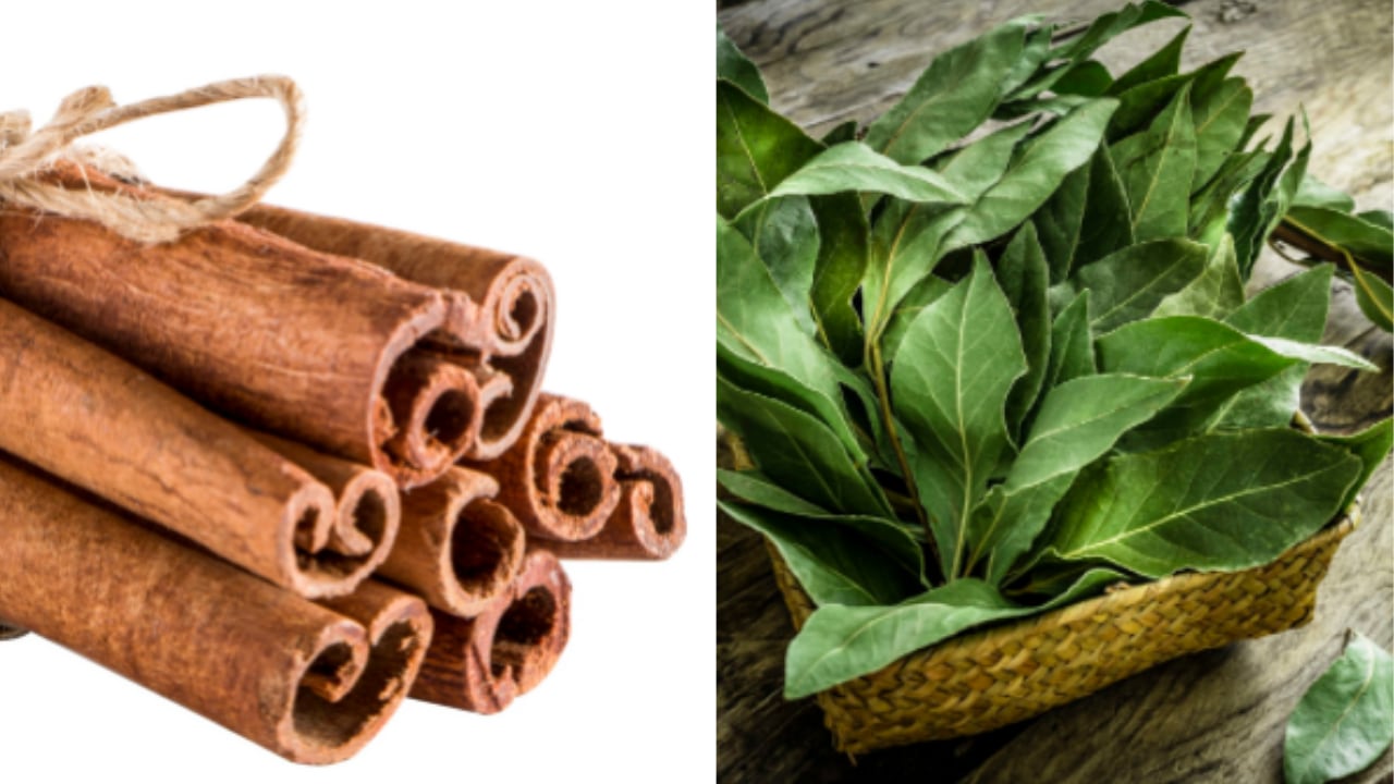 El consumo de canela y laurel debe ser supervisado por un especialista para no agravar comorbilidades.