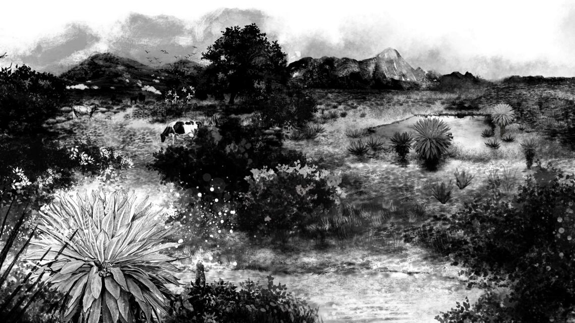 Ilustraciones de Sumapaz, por  Jonathan D. Morven