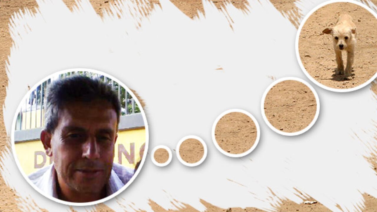 Las declaraciones del concejal Antonio Jesús Vélez fueron rechazadas por los animalistas.