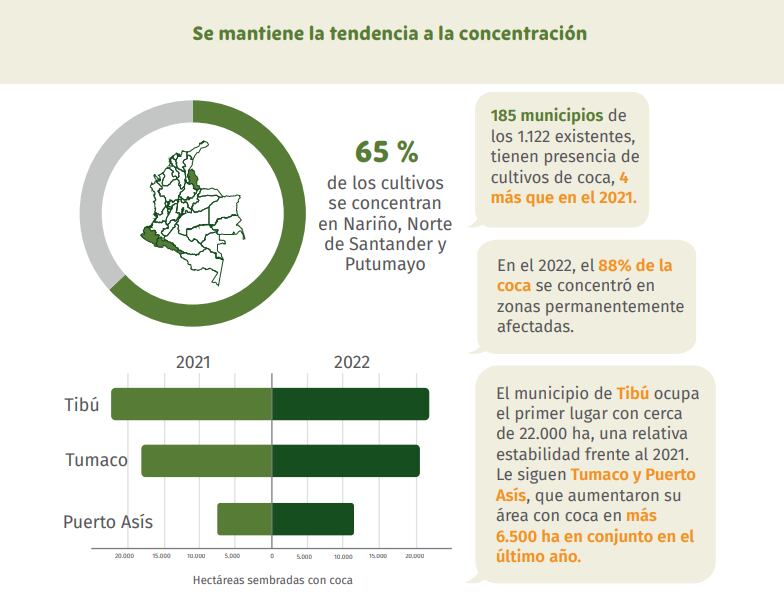 Cultivos de Coca están desbordados: 230 mil hectáreas inundaron al país en 2022; 12% más que en 2021