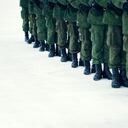 Algunas milicias alrededor del mundo utilizan animales para sus operaciones.