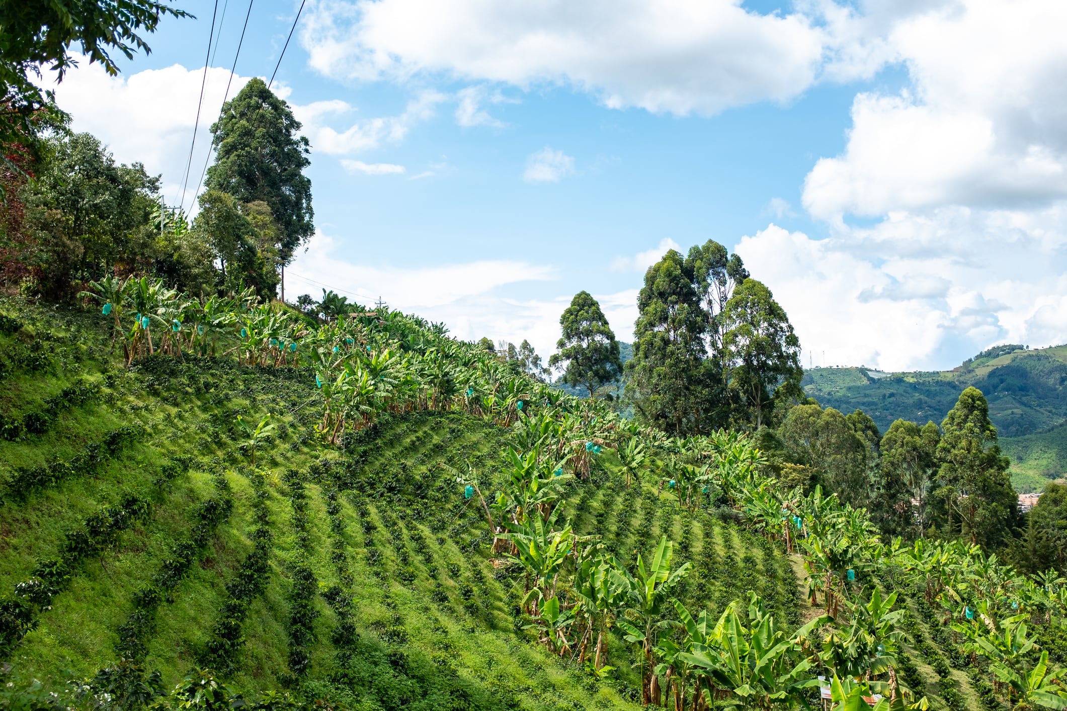 Jardín Antioquia